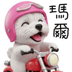 馬爾濟斯狗_可愛貼圖