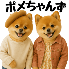 ポメちゃんずの日常