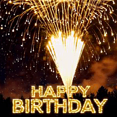 Gorgeous fireworks!-annual event effect