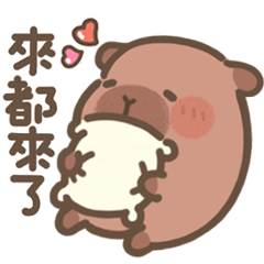 豚豚布丁♡床編故事(Q水豚枕頭戰)