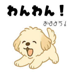 Dog Talk & Maltipoo Stickers