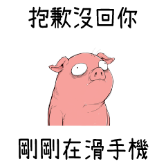 壞掉的豬豬★抱歉沒回你 剛剛在滑手機