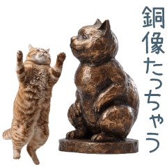 煽る実写ネコ【面白い・煽り】