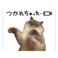 Kachan20250913175800