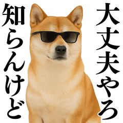 Kansai dialect used in of Shiba Inu