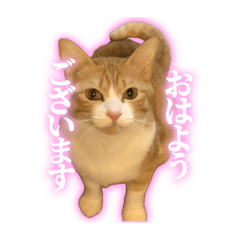 manmosu_20250914232348