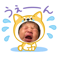 Flower_20250914150014