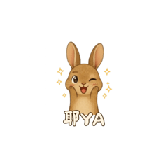 可愛小兔日常用語
