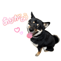 kurumi_20250915012543