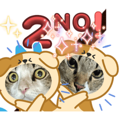 Tony and Tomyum Remastered