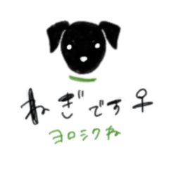 nihon terrier no NEGI