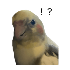 hiyori_20250914163343