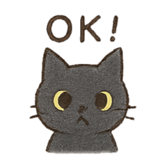 HINATA_20250914195017