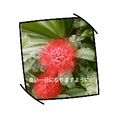 Triceratops_20250912171436