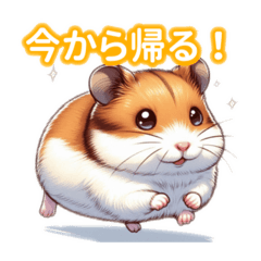 Cuteness Overload Roborovski Hamsters