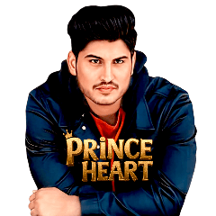 Prince ipt 7
