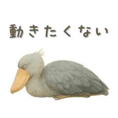 Shoebill The Silent Pressure Returns