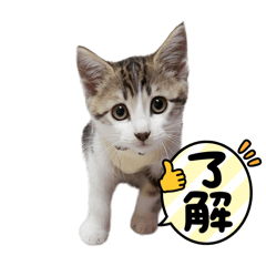 YUKARI_20250914173538