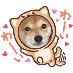 asahi_20250914163340