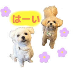 omochi_20250914190538