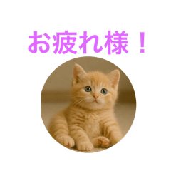 ハッピー子猫のスタンプ