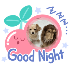 yuka_20250915002942