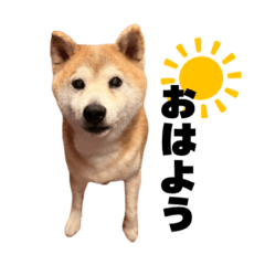 natsu_20250915003650