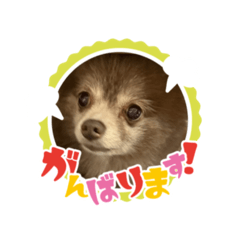 yumi_20250915081343