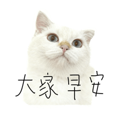 湯圓本圓1