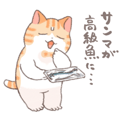 ちょっと暑い秋を過ごす猫のトミー