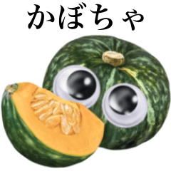 日本南瓜　怪物