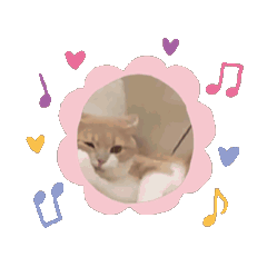 湯圓湯圓真的好圓