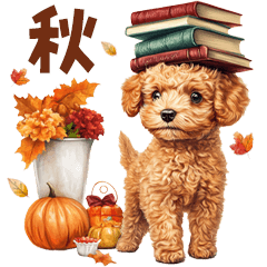 丁寧語♪秋の日常トイプードル