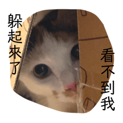 咪嗚