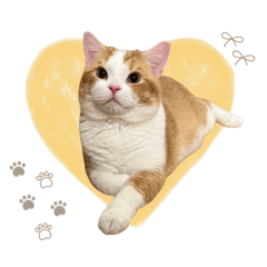 Cherry_20250915010410