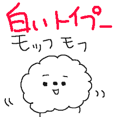 cute cute white toy poodle!