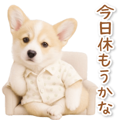 ネガティブな癒しコーギー