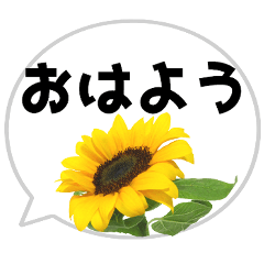 *Flower* Sunflower&Speech bubble