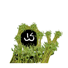 tintin_meme_20250914180149