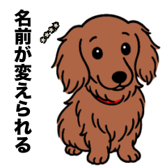 名前入りダックスロングレッド②