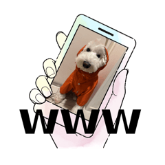 yuka_20250914090337
