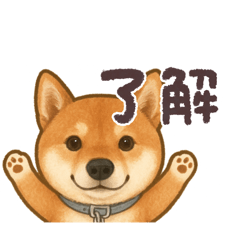 12   サンジ様　犬　③パターン