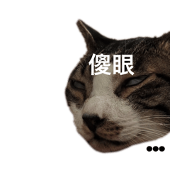 張喻菱的生日禮物