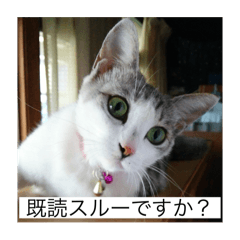 satoshi_20250914215156