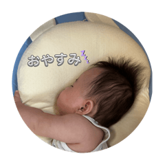 Dinosaur_20250915113151