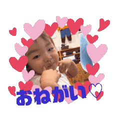 Kokomi 1st anniversary