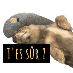 T'es sur ?
