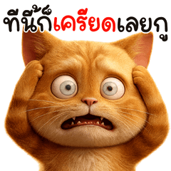 มิ้วส้มส้ม