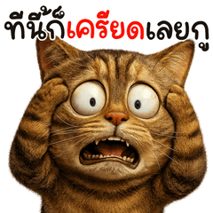 มิ้วลายสลิด