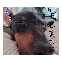 kazuki_20250915205222